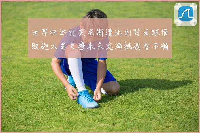 世界杯巡礼突尼斯遭比利时五球惨败迦太基之鹰未来充满挑战与不确定性